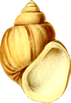 Golden Seashell Illustration PNG image