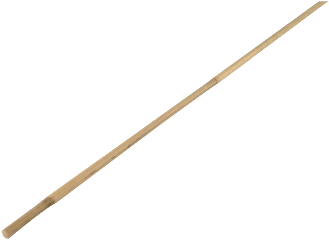 Golden Sewing Needle PNG image