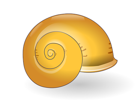 Golden Spiral Shell Illustration PNG image