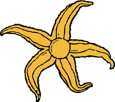 Golden_ Starfish_ Vector_ Art PNG image