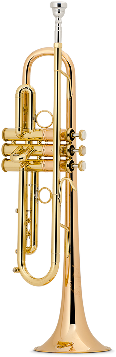 Golden Trumpet Standing PNG image