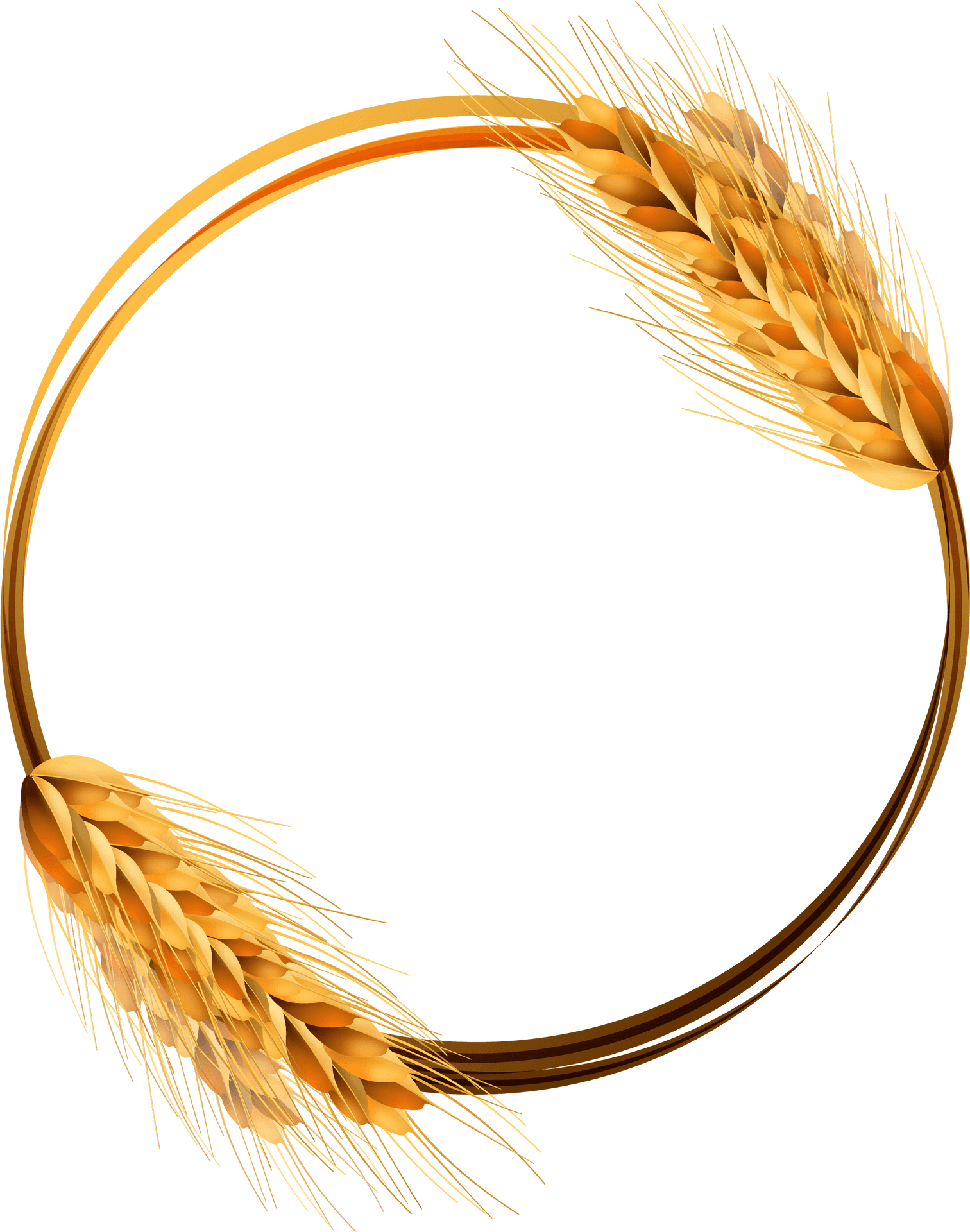 Golden Wheat Ears Circle Vector PNG image