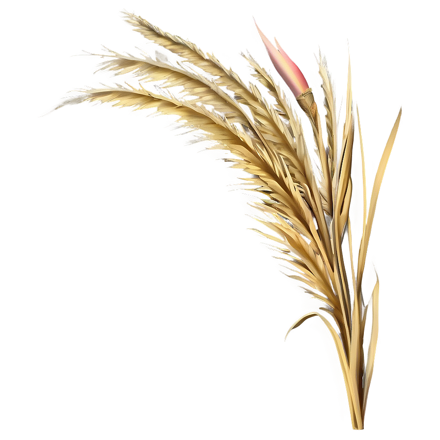 Golden Wild Grass Png Bht PNG image