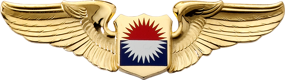 Golden Winged Badgewith Shield PNG image