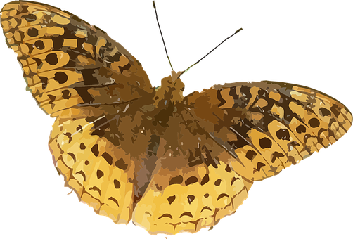 Golden Winged Butterfly Illustration PNG image