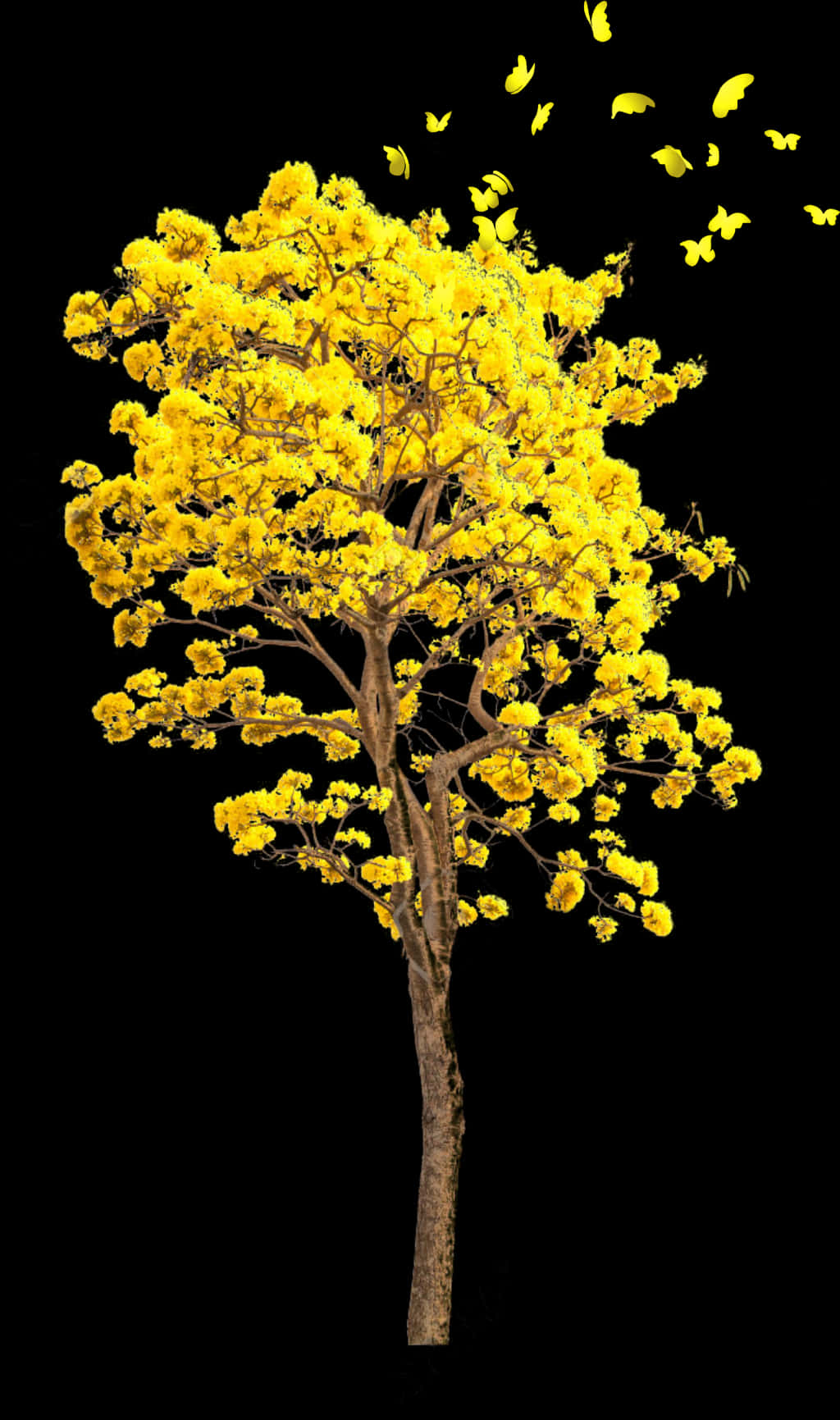 Golden Yellow Tree Butterflies Black Background PNG image