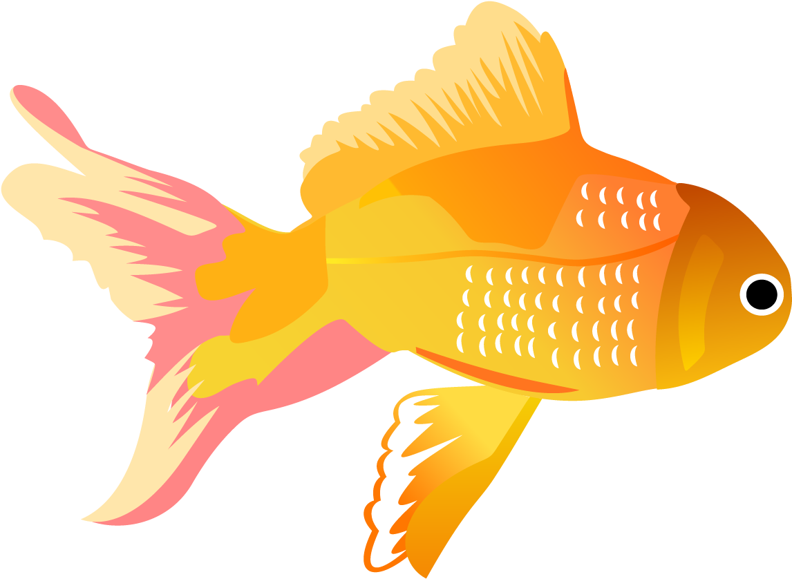 Goldfish Illustration Vector Art PNG image