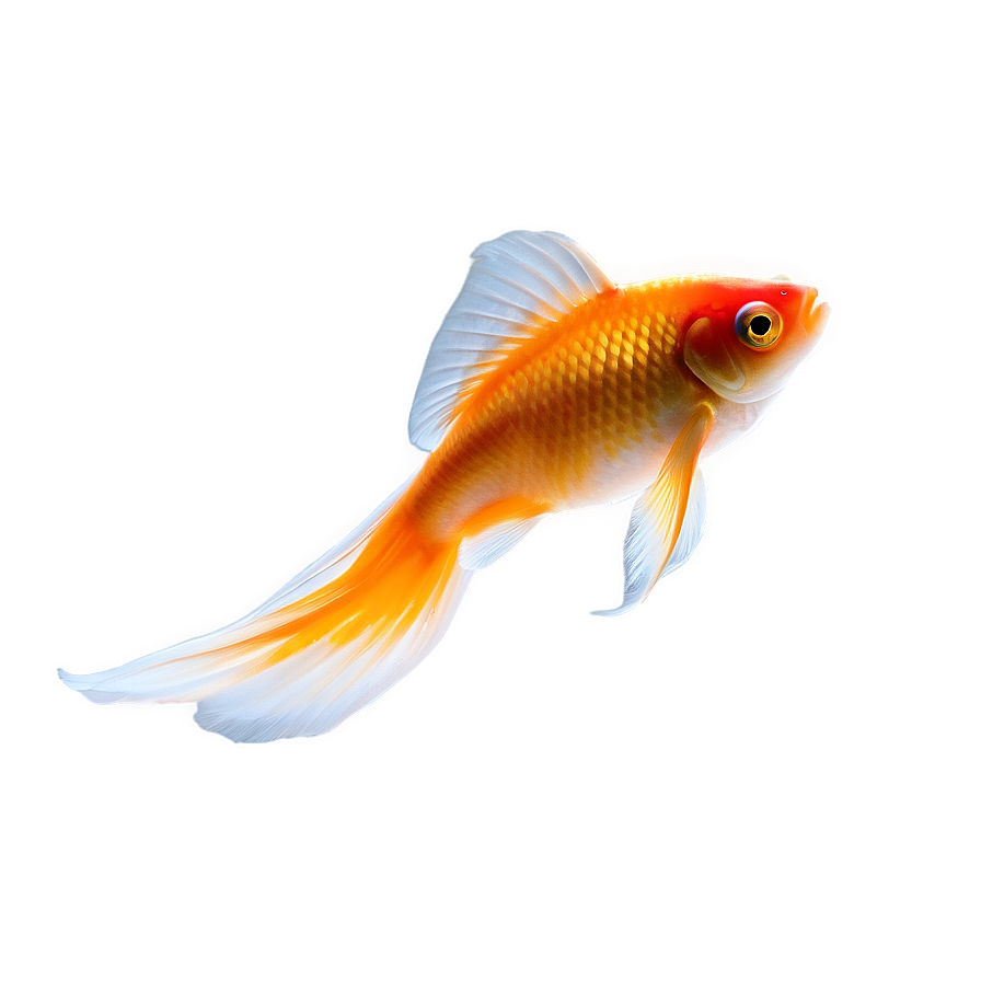 Goldfish Silhouette Png Tcs6 PNG image