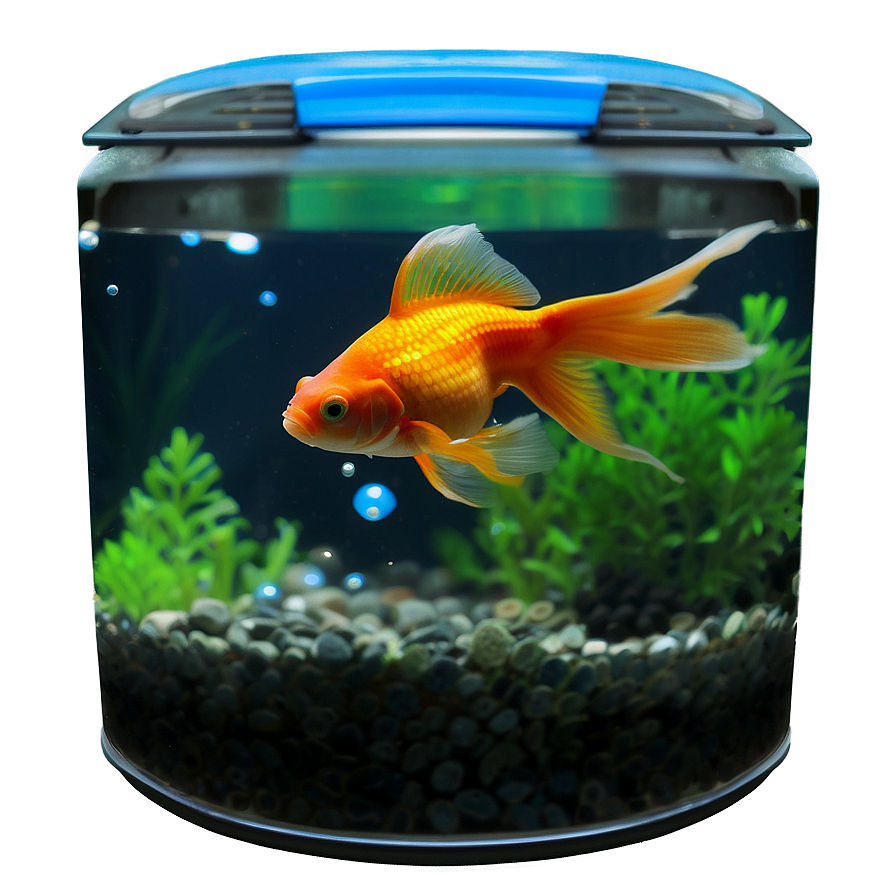 Goldfish Tank Png Kxu18 PNG image