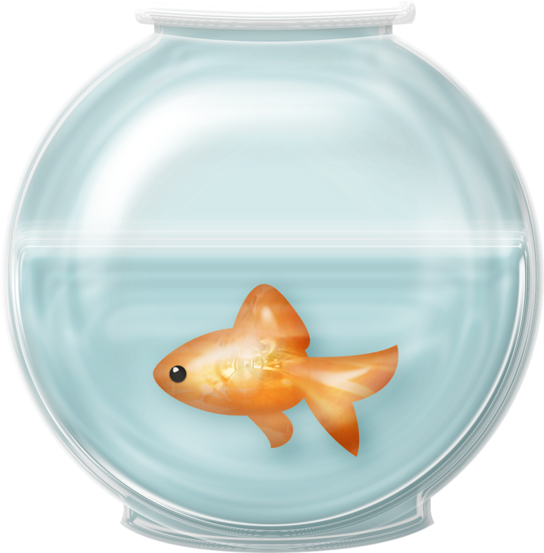 Goldfishin Glass Bowl.png PNG image