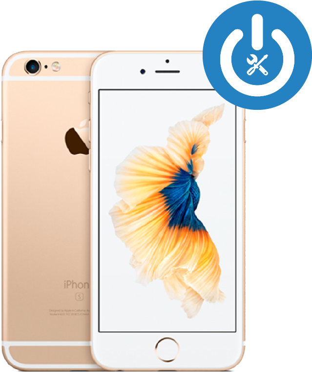 Goldi Phone6s Plus Showcase PNG image