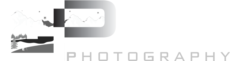 Goldpaint Photography Logo PNG image