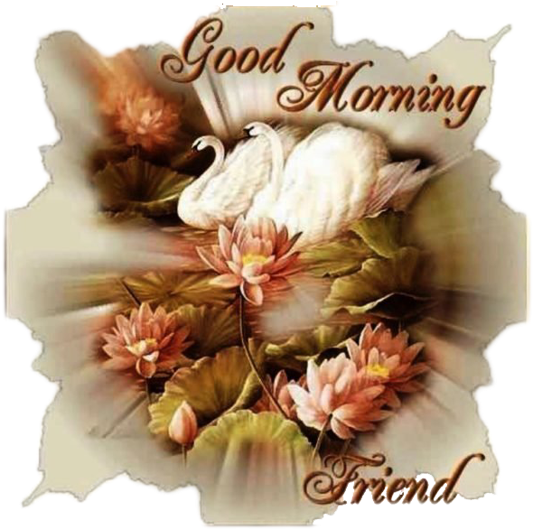 Good Morning Friend Greeting PNG image