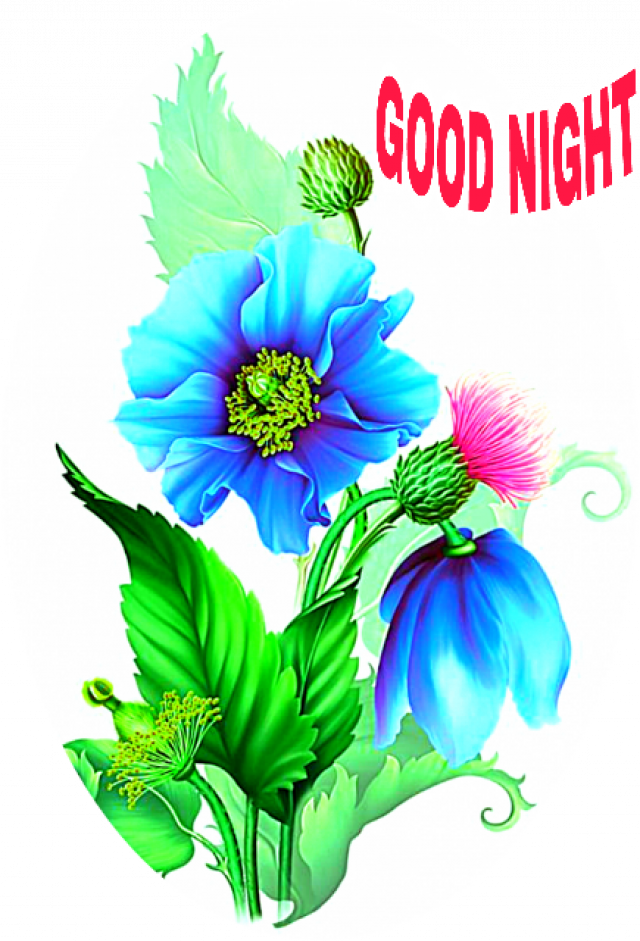 Good Night Floral Greeting PNG image