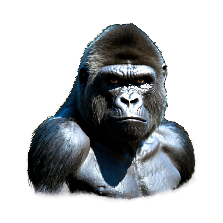 Gorilla With Angry Eyes Png 06252024 PNG image