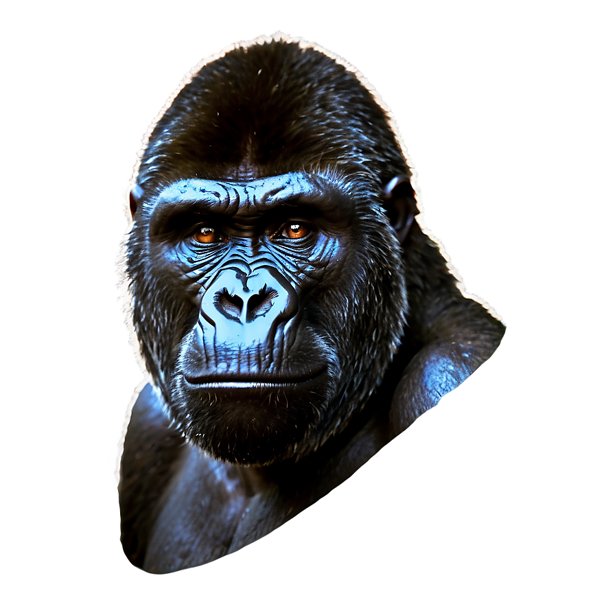 Gorilla With Angry Eyes Png 29 PNG image