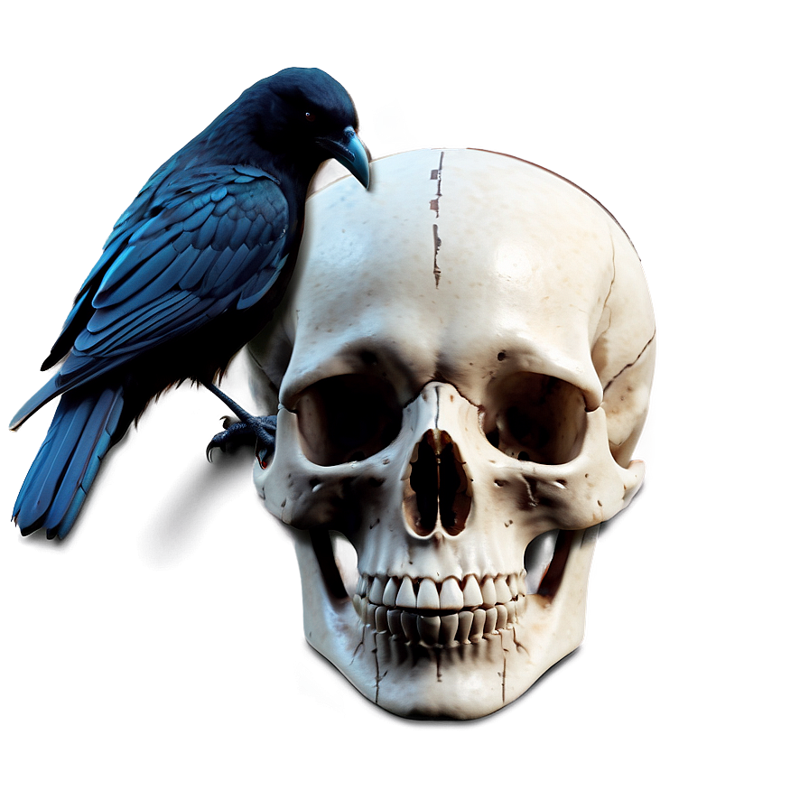 Gothic Raven And Skull Png 7 PNG image