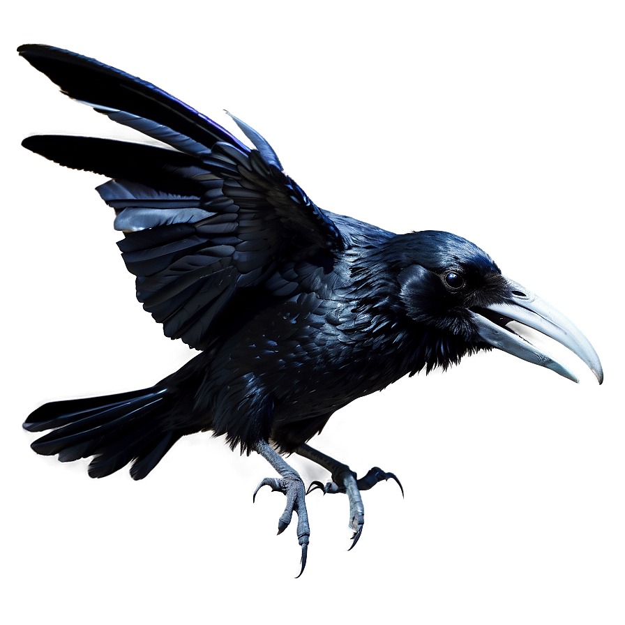 Gothic Raven Png 82 PNG image