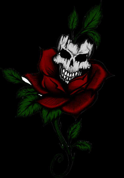 Gothic Skull Rose Art PNG image