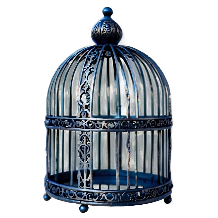 Gothic Style Birdcage Png Bkr PNG image