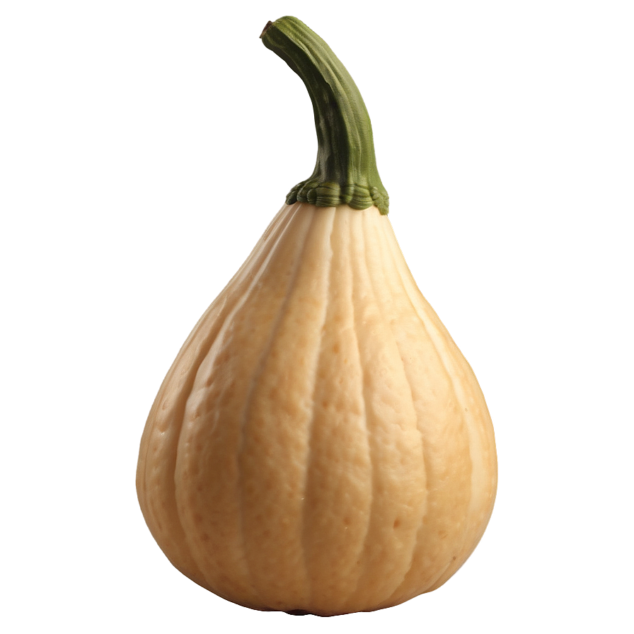 Gourd D PNG image