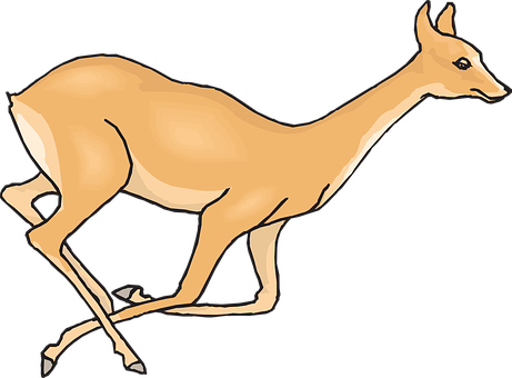 Graceful Deer Illustration PNG image