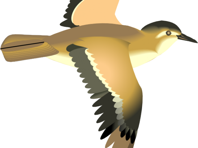 Graceful_ Flying_ Bird_ Illustration.png PNG image