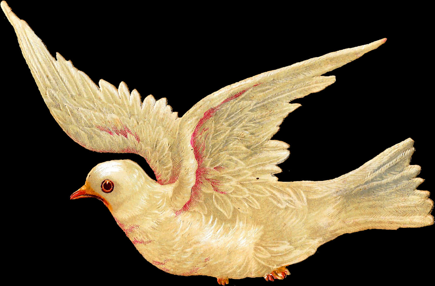 Graceful Flying Dove Illustration PNG image