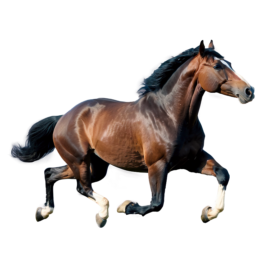 Graceful Horse Gallop Png Gvn37 PNG image