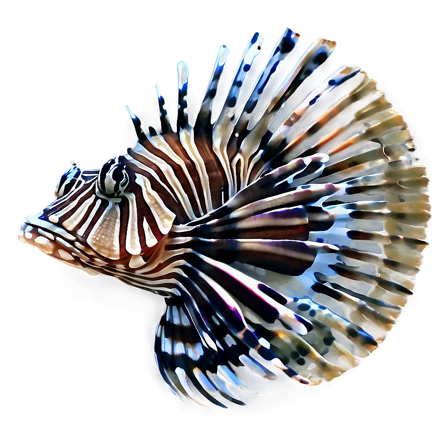 Graceful Lionfish Png 18 PNG image