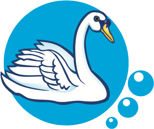 Graceful Swan Illustration PNG image