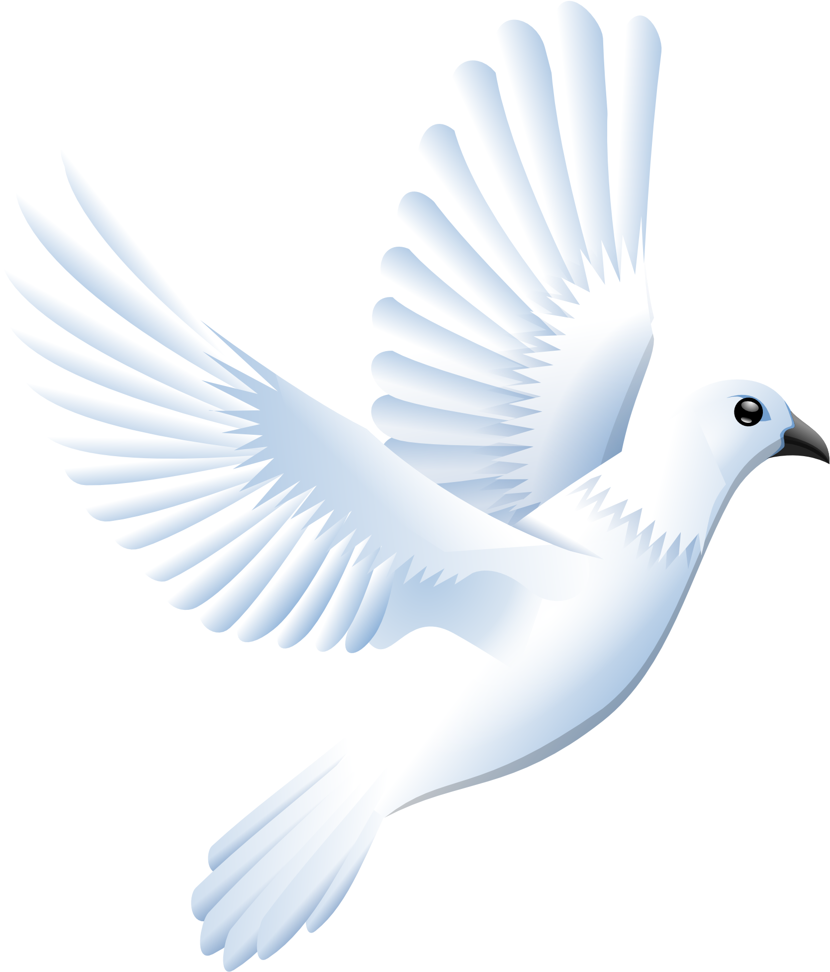 Graceful White Pigeon In Flight PNG image