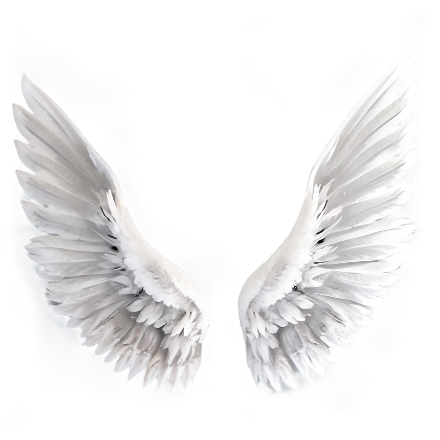 Graceful White Wings Png 95 PNG image