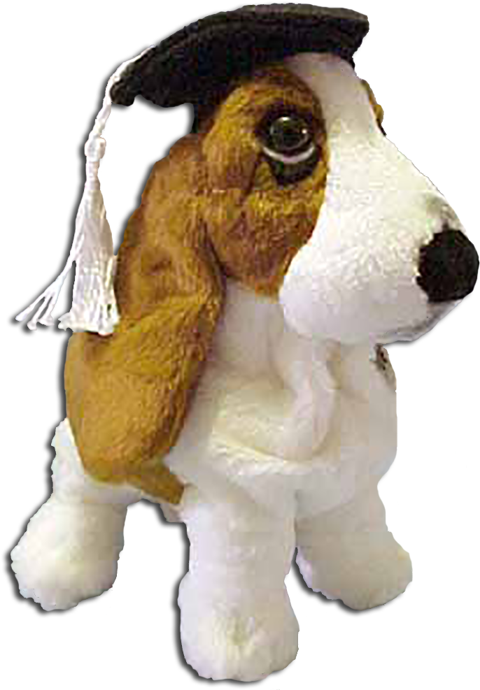 Graduate Basset Hound Plush Toy PNG image