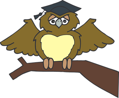 Graduate Owl Cartoon PNG image