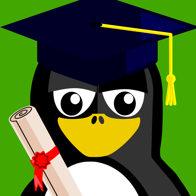 Graduated Penguin Cartoon PNG image