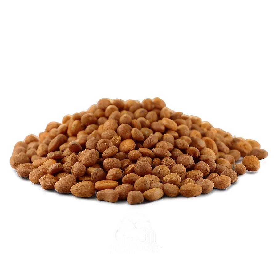 Grain-inclusive Dog Food Png 05252024 PNG image