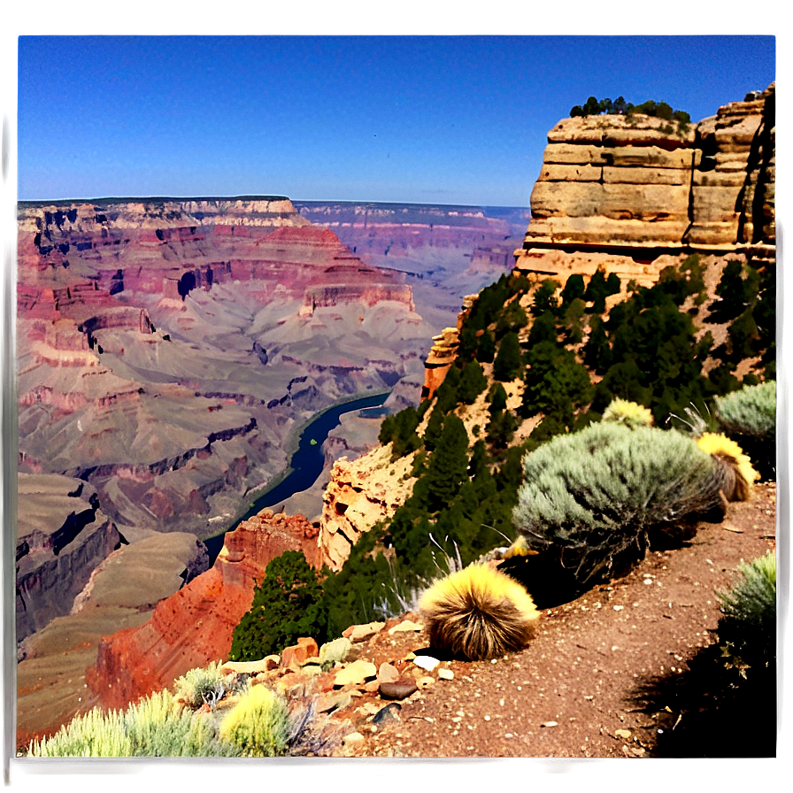 Grand Canyon Historical Exploration Png Uht PNG image