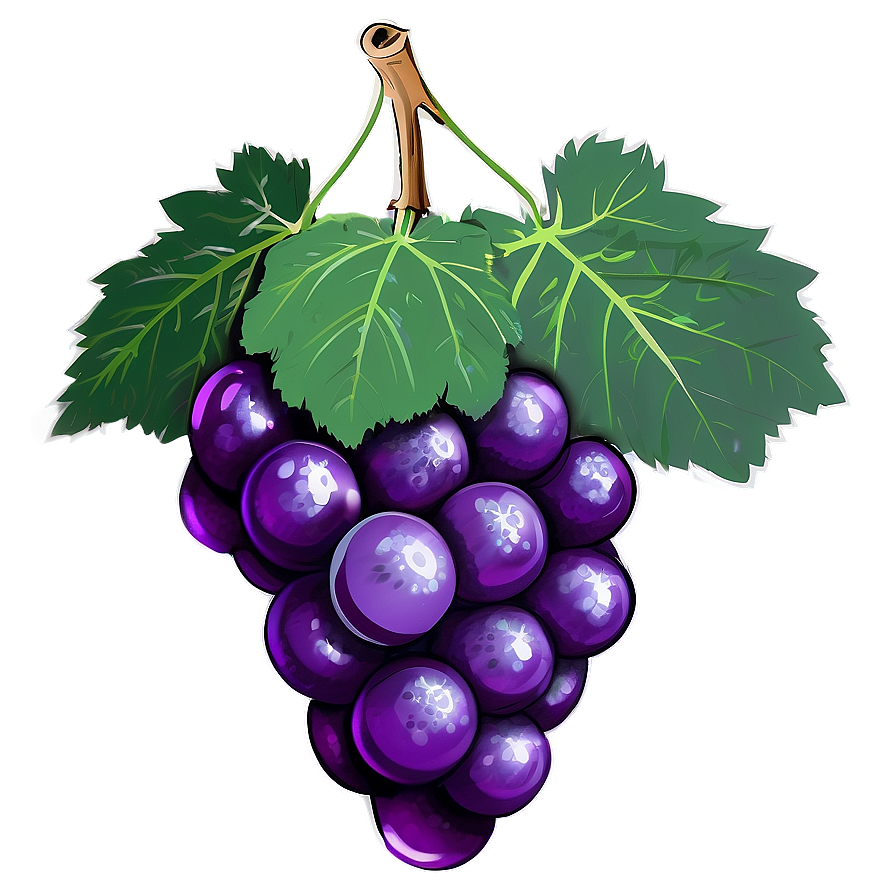 Grape Drawing Png 05212024 PNG image