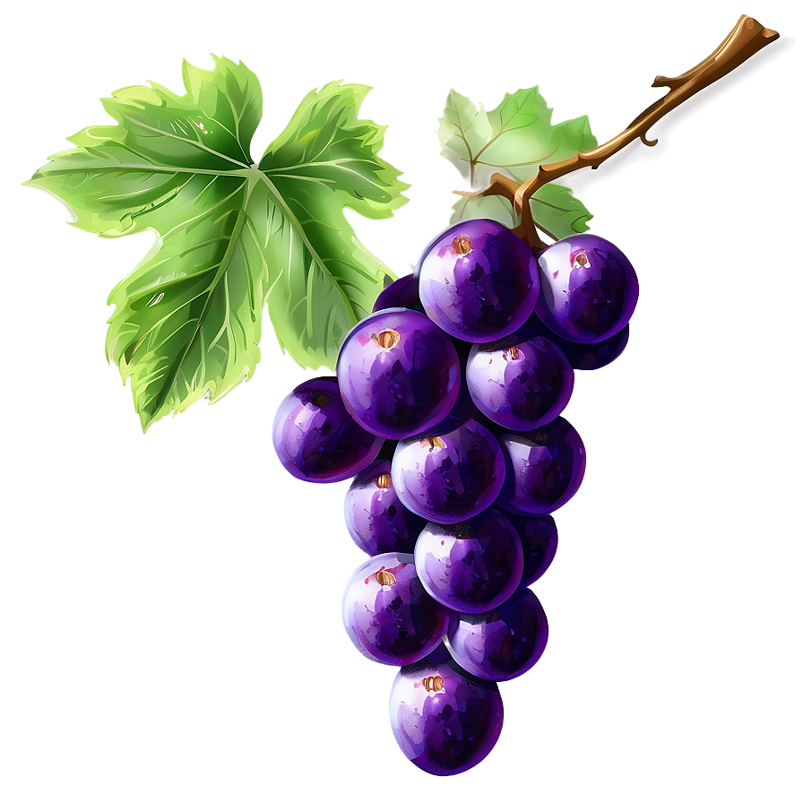 Grape Drawing Png Rhl PNG image