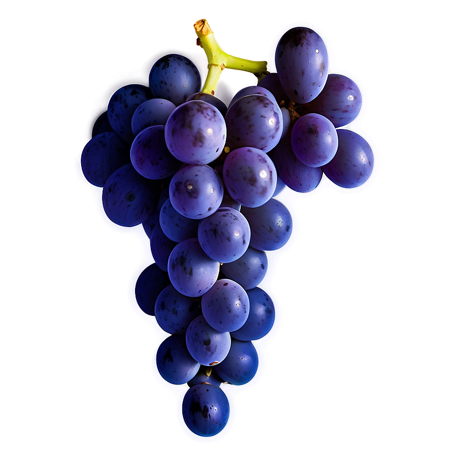 Grape Logo Png Xyl PNG image