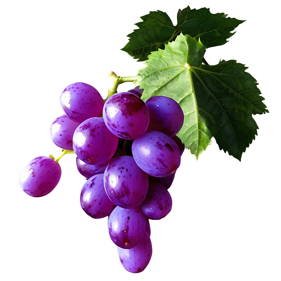 Grape Outline Png 4 PNG image