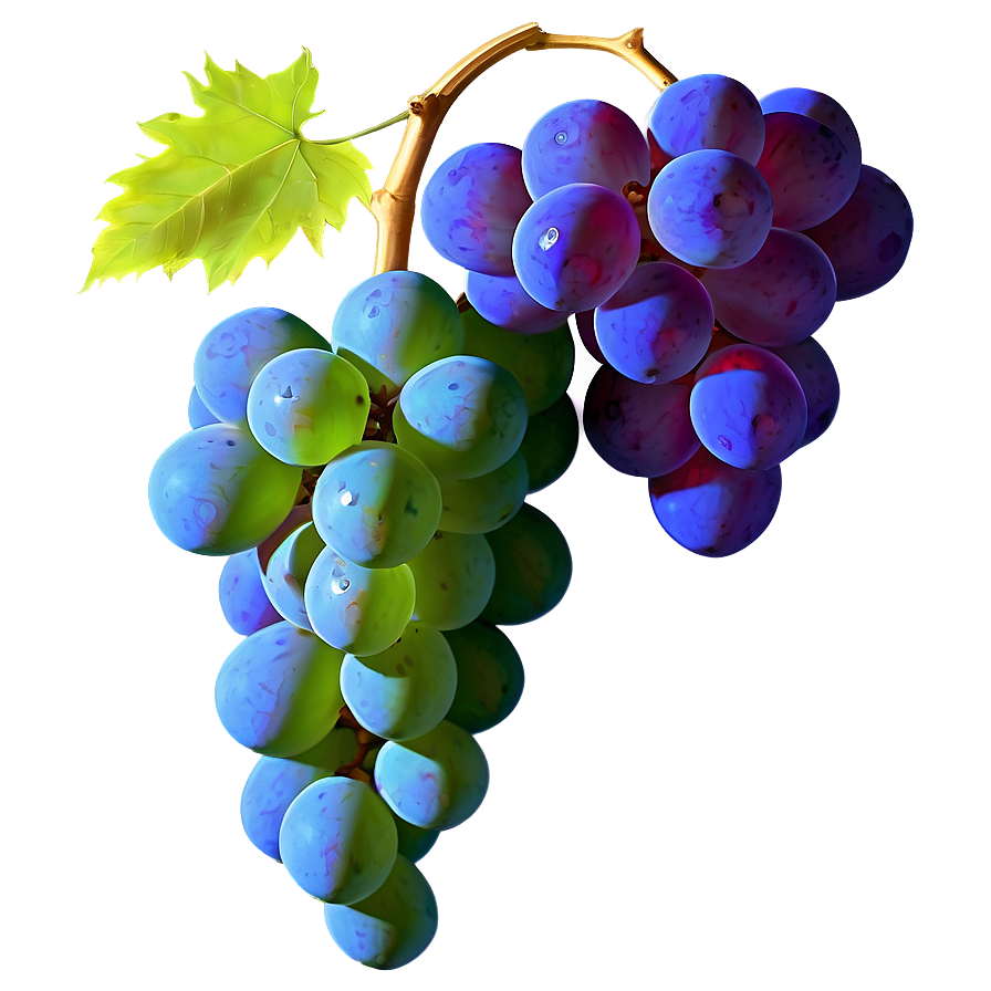 Grape Outline Png Rhy17 PNG image