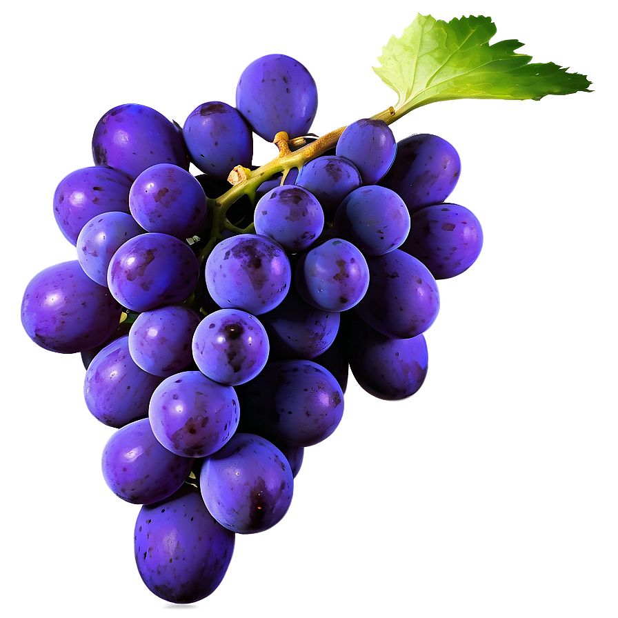 Grape Texture Showcase Png Wrs40 PNG image