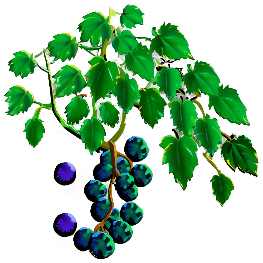 Grape Vine Png 89 PNG image