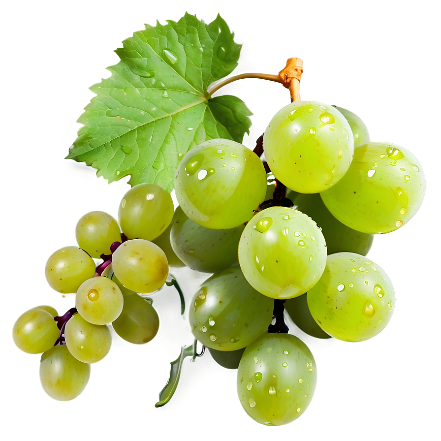 Grape With Dew Png Hqc93 PNG image