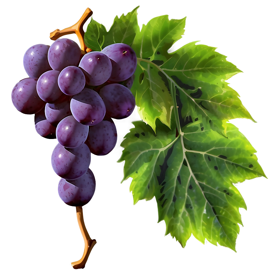 Grape With Leaf Png Ufm PNG image