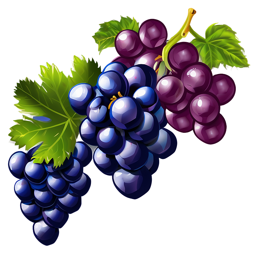 Grapes Drawing Png 05242024 PNG image