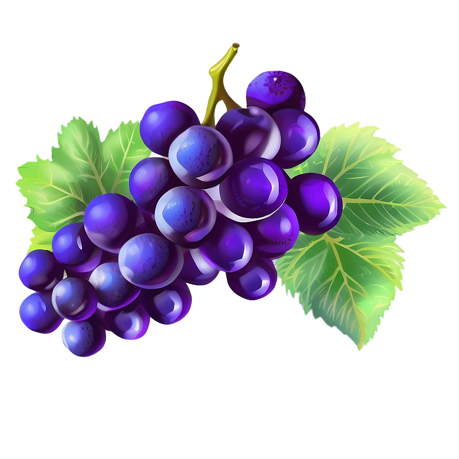 Grapes Drawing Png 05242024 PNG image