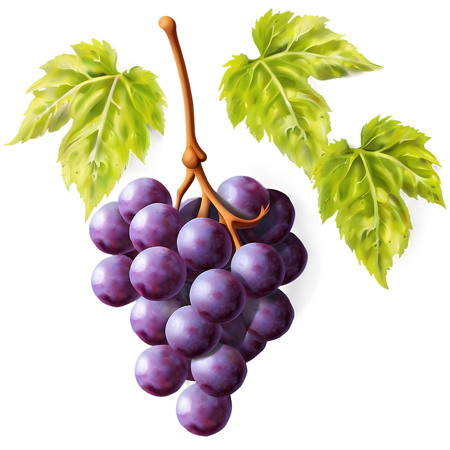 Grapes Frame Png 05242024 PNG image